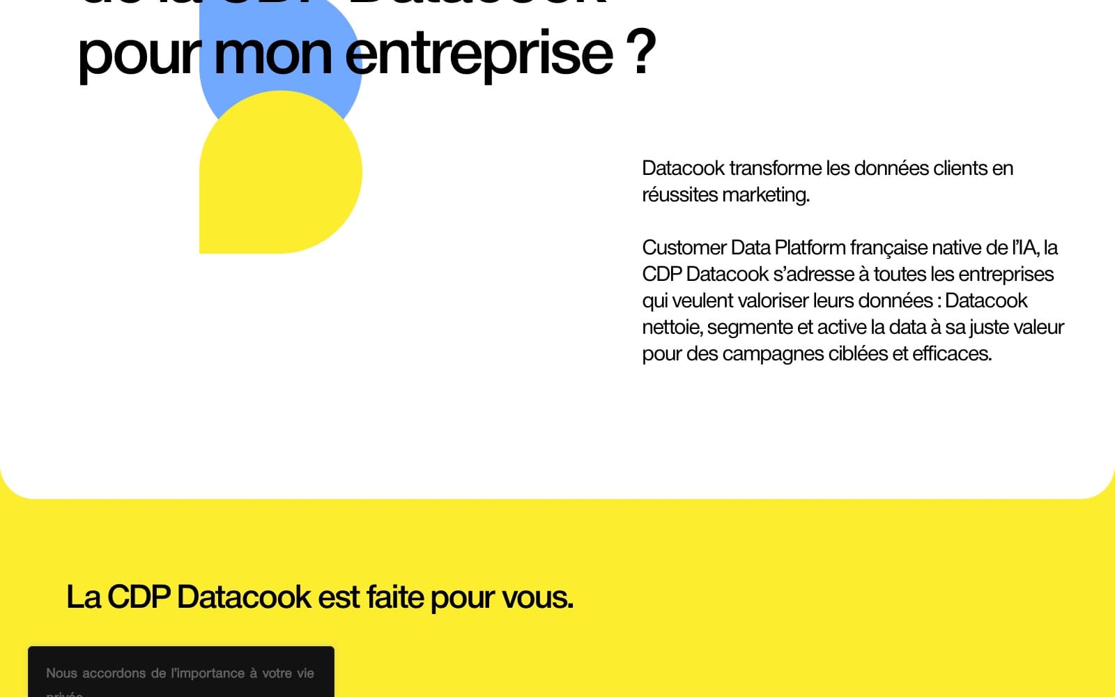 Datacook — Customer Data Platform propulsée à l'IA — aperçu 1